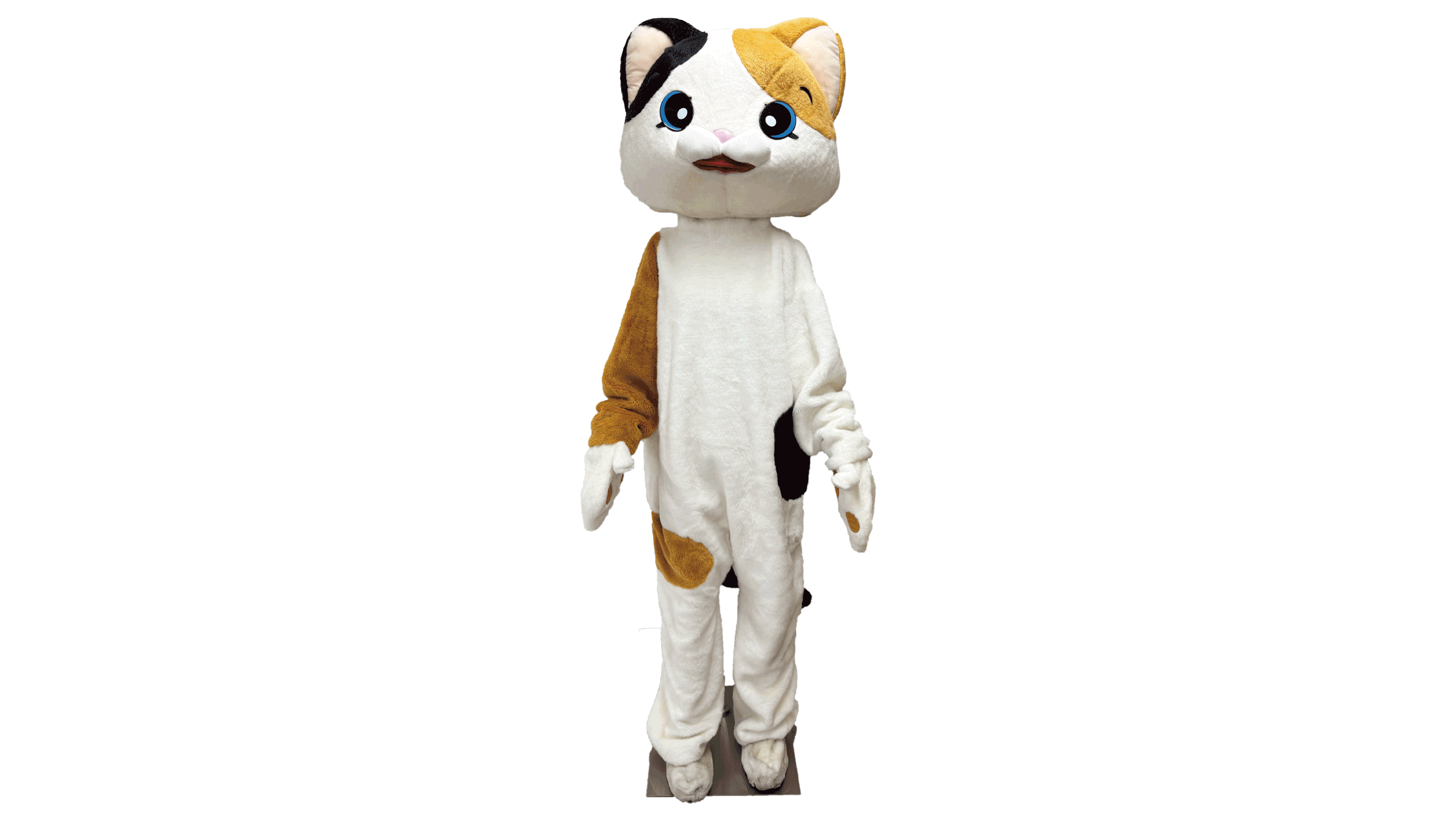 着ぐるみ ねこ | ヒカリ・レンタル株式会社｜お客様に感動を